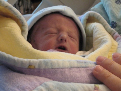 pictures-from-halis-camera-420